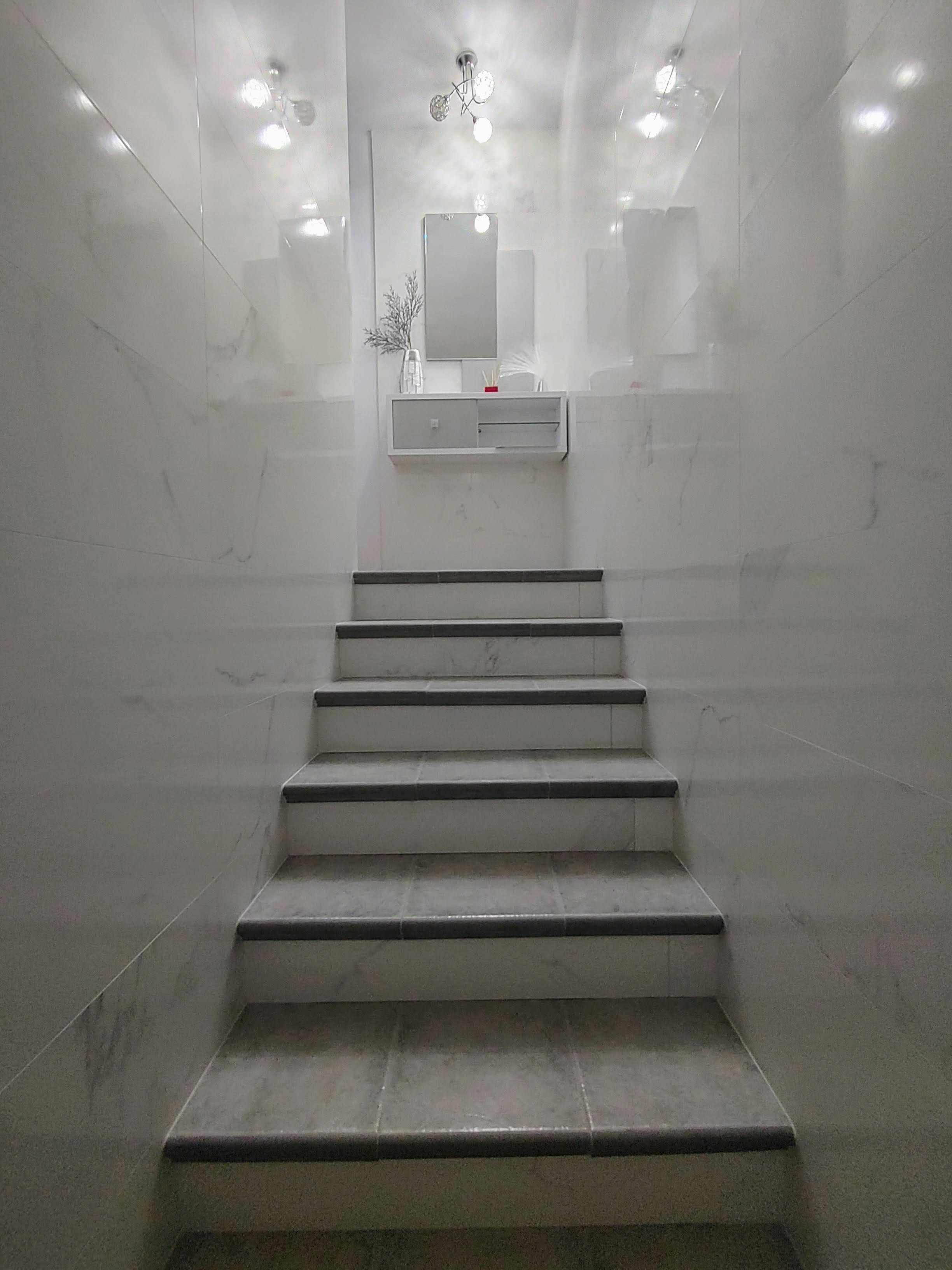 Obra nueva y reformas